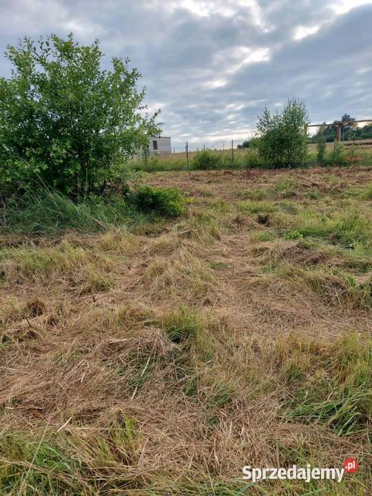 Sprzedam działkę budowlaną pod lasem Grunty i działki świętokrzyskie