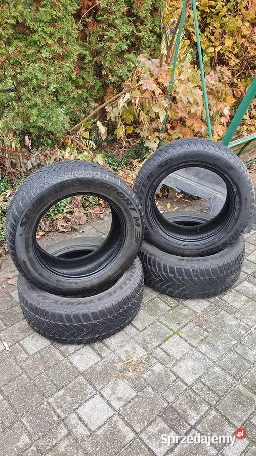 opony zimowe Dunlop Winter Sport 3 245 55 17