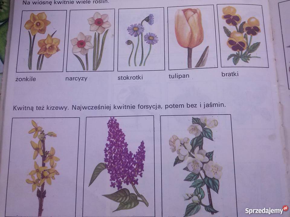 POZNAJĘ ŚWIAT Książka z dzieci 68 lat 1989r śląskie Katowice