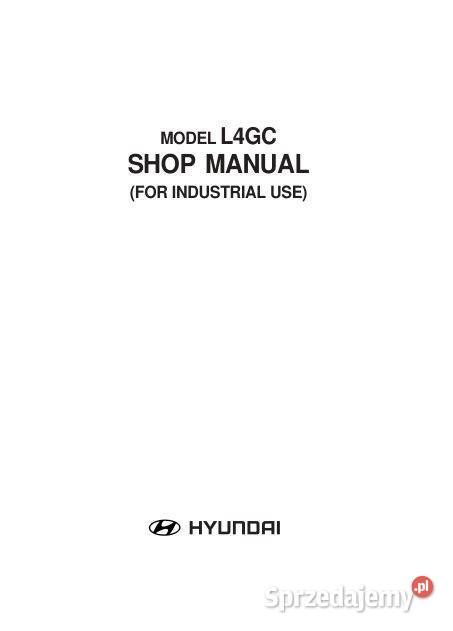 Hyundai L4GC silnik instrukcja naprawy motoryzacja, transport świętokrzyskie Kielce