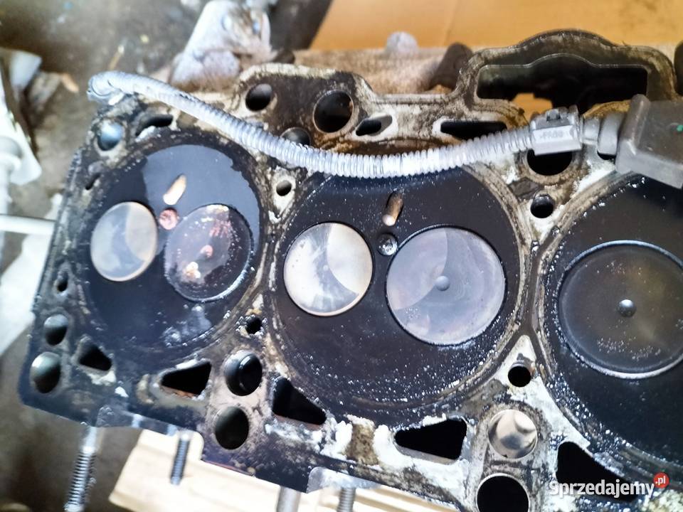 AUDI A38L A3 8L 19TDI 038103373R GŁOWICA Kamień-Kolonia