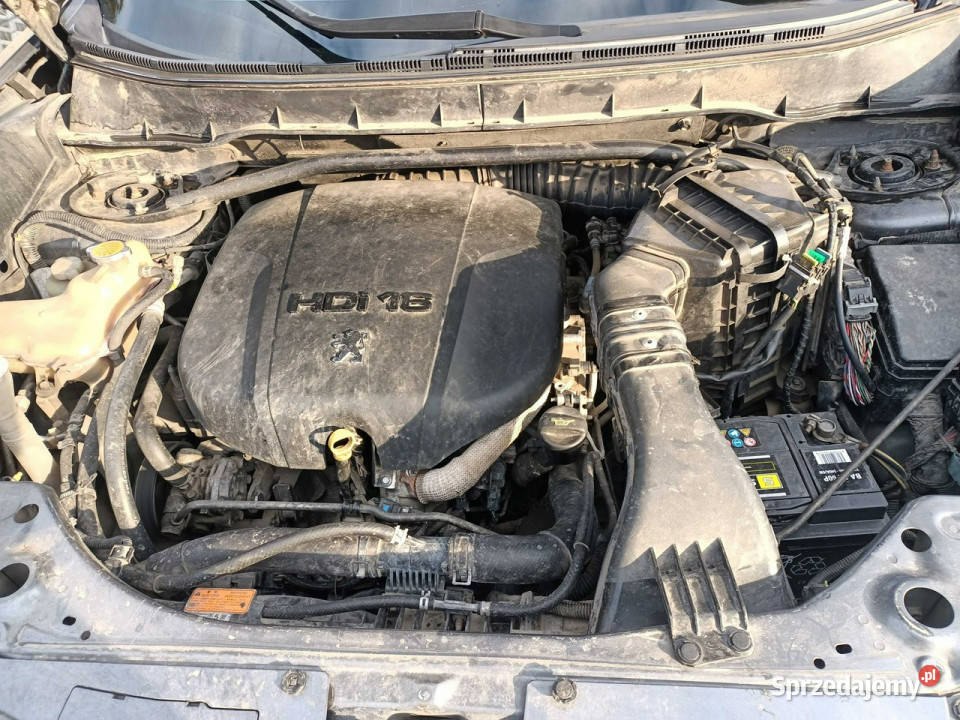 Peugeot 4007 Peugeot 4007 22HDi 156 08r 4x4 7 Os diesel Tarnów