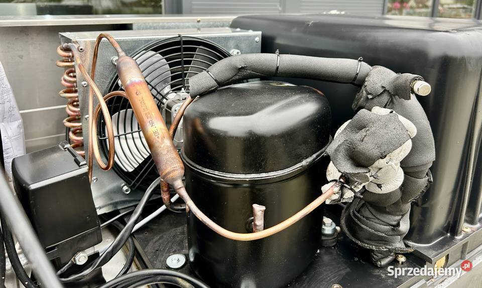 SZAFA MROŹNICZA ELECTROLUX 700L ZAMRAŻARKA Krępsko