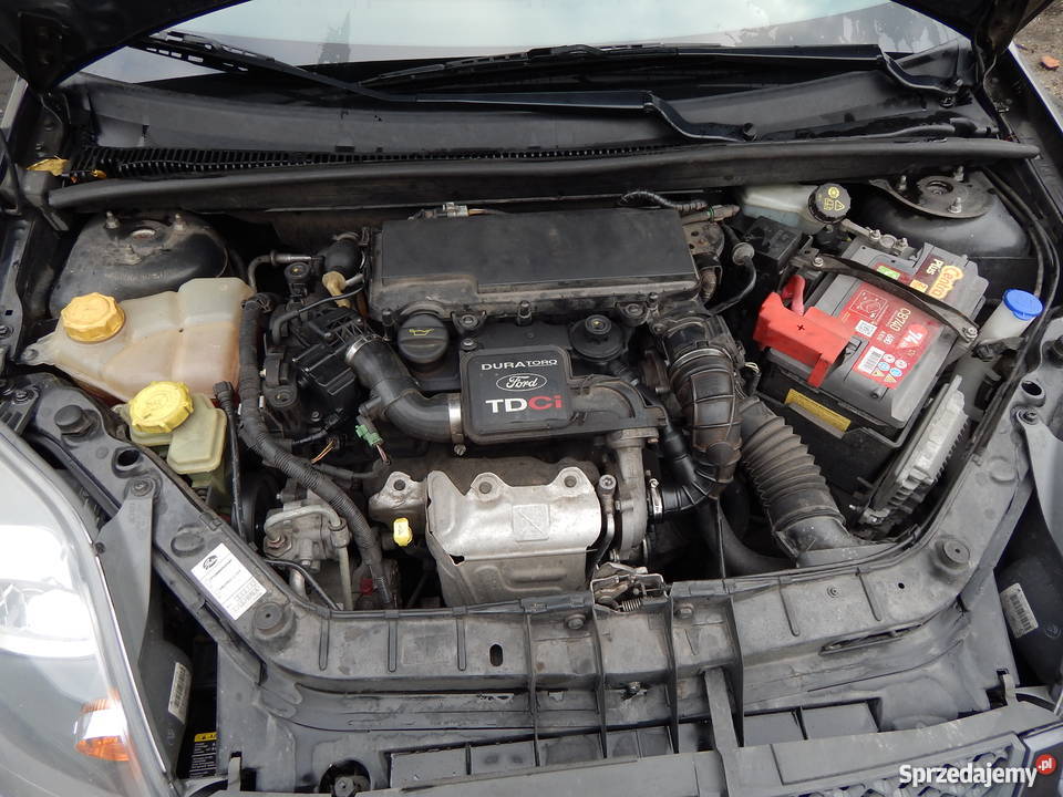 Ford Fiesta MK6 2008r 14tdci OKAZJA immobilizer Bełszewo-Kolonia sprzedam