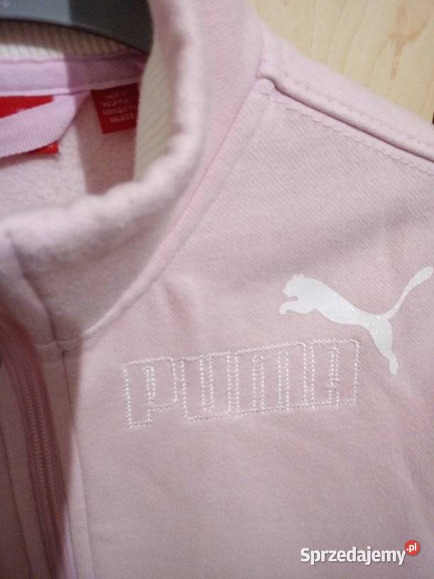 Sprzedam bluzy sportowe damskie i dziewczęce Częstochowa