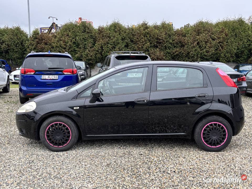 Fiat Punto Hatchback śląskie Paniówki