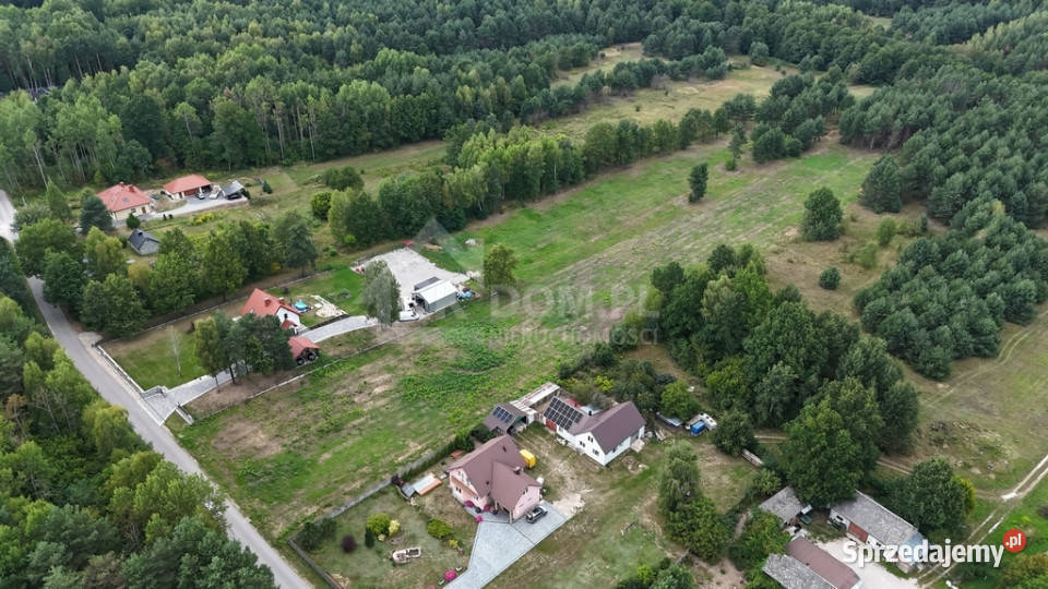 Działka na sprzedaż 910 m2 Gałęzice gm Piekoszów sprzedam