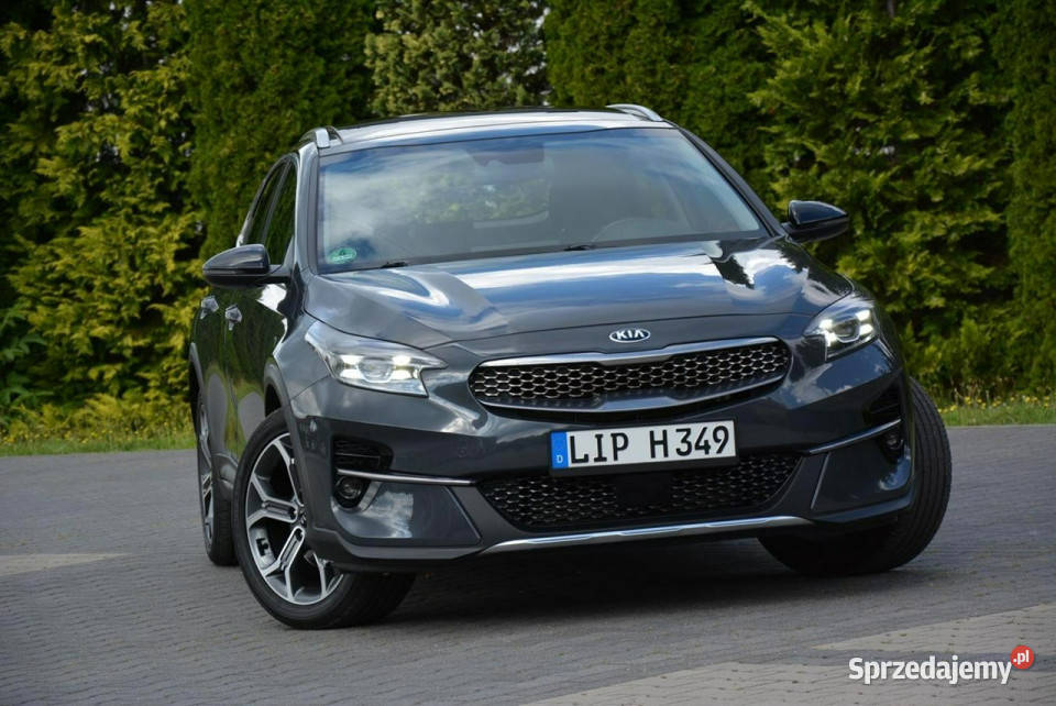 Kia XCeed Launch X Full Led Panorama RadarACC Ostrów Mazowiecka