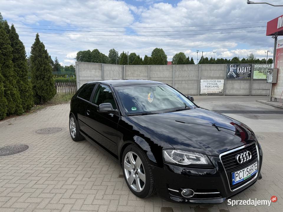 Audi a3 8p 20 TDI 140 koni bez wkładu Krzyż Wielkopolski