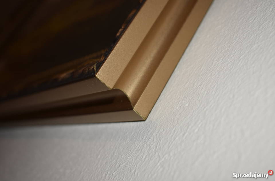 Obraz w złotej ramie 70 x 110 lubelskie Ryki