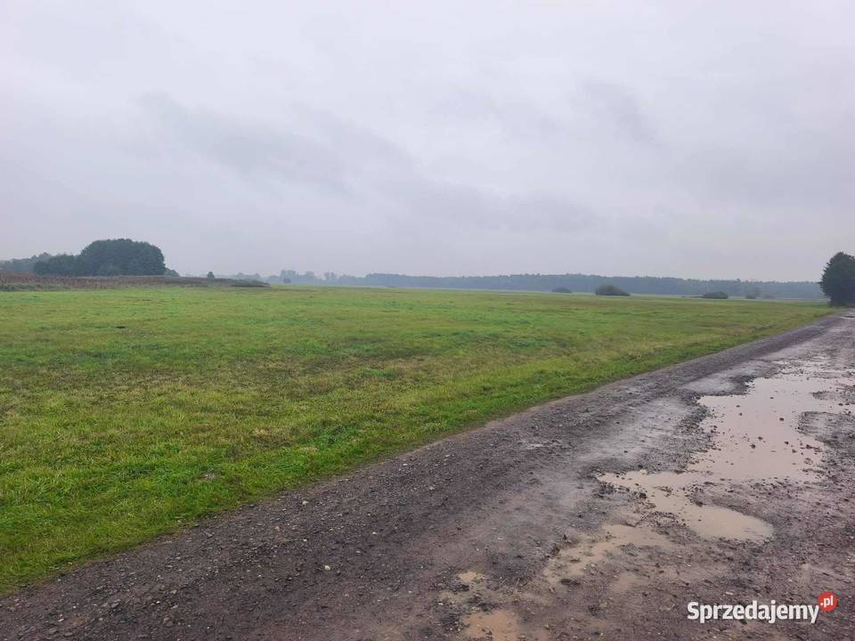 DWIE ŁĄKI W MIEJSCOWOŚCI LĄDEK GMINA LĄDEK rolna