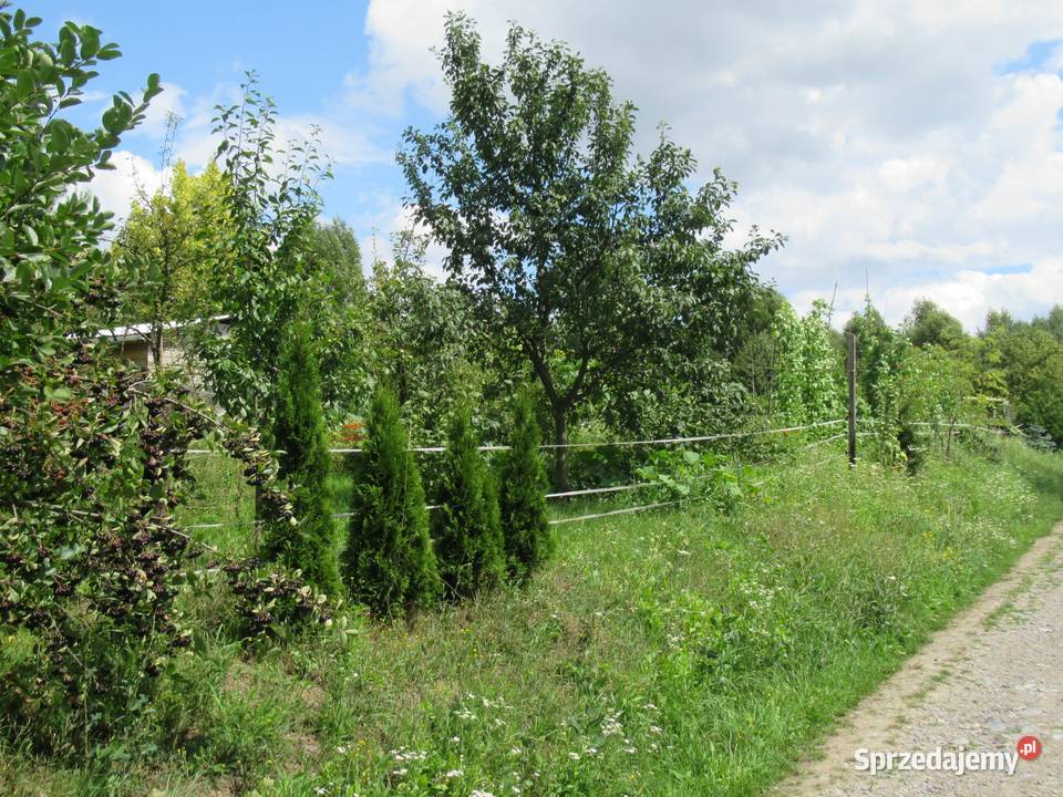 Działka rolnobudowlana kKrakowa budowlana Sprzedaż małopolskie Zabierzów