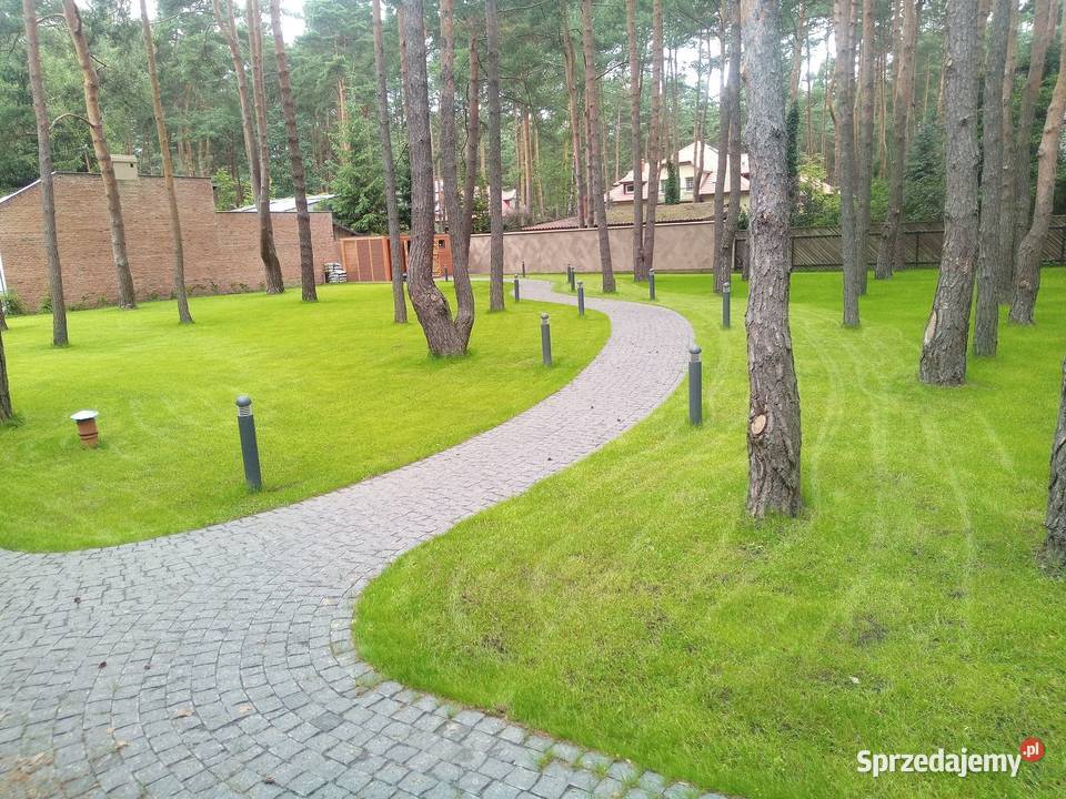 CZARNA kostka brukowa GRANITOWA ciętołupana Marki