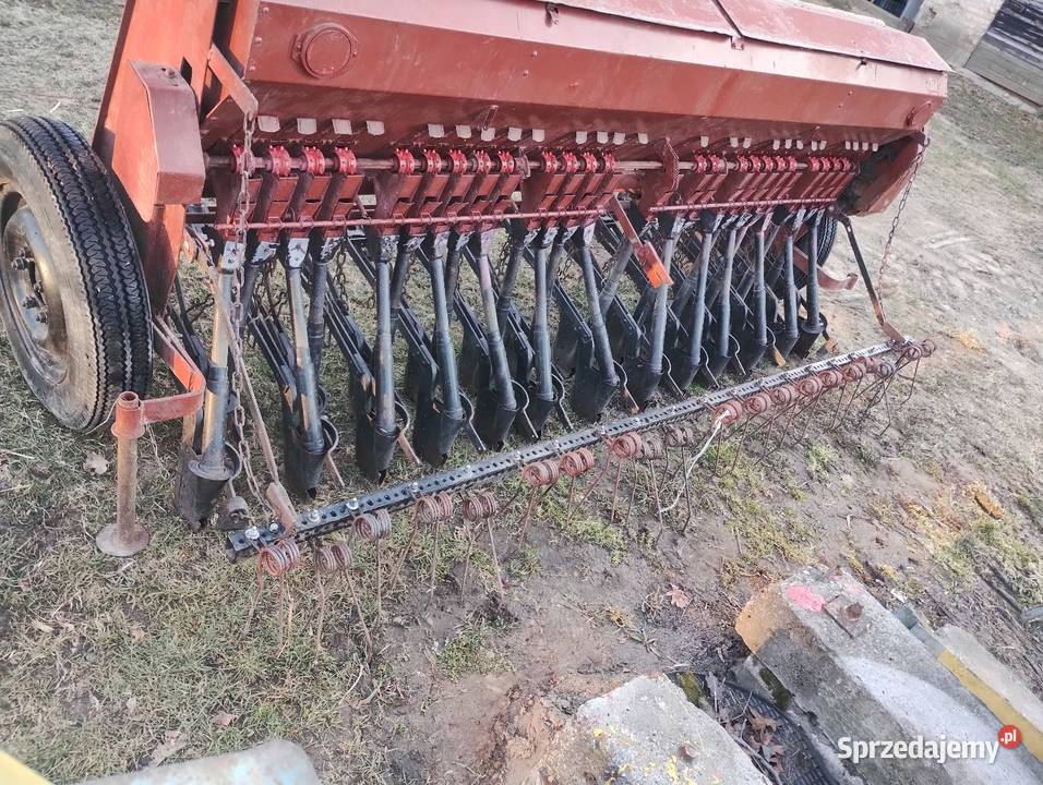 Siewnik poznaniak mazowieckie Płońsk