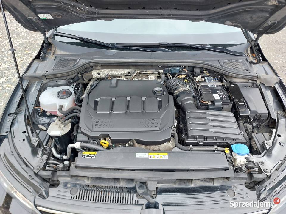 Volkswagem Golf VIII 20 TDI klimatyzacja Krapkowice
