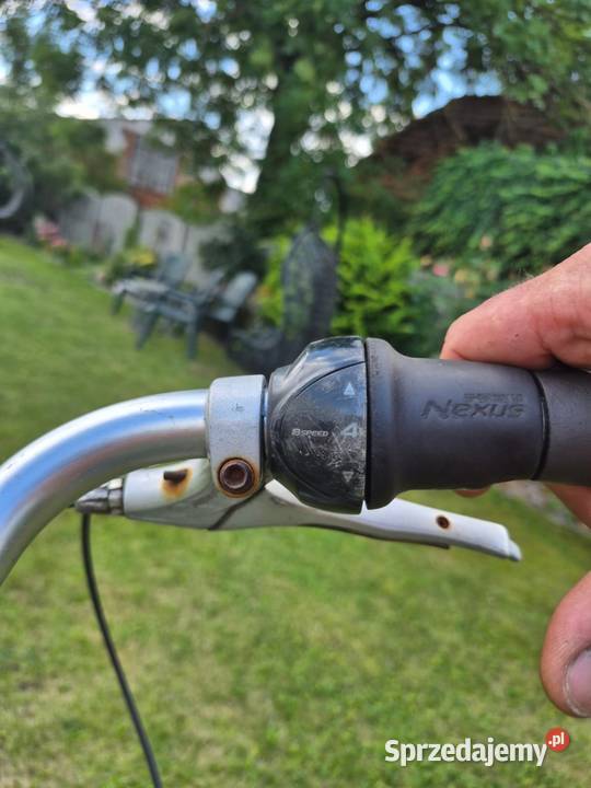 Rower Holenderski Gazelle Chamonix C8 Koła 28 Gostyń