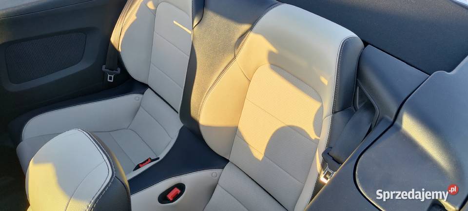 Ford Mustang GT 50 V8 Convertible kabriolet sprowadzony Mustang