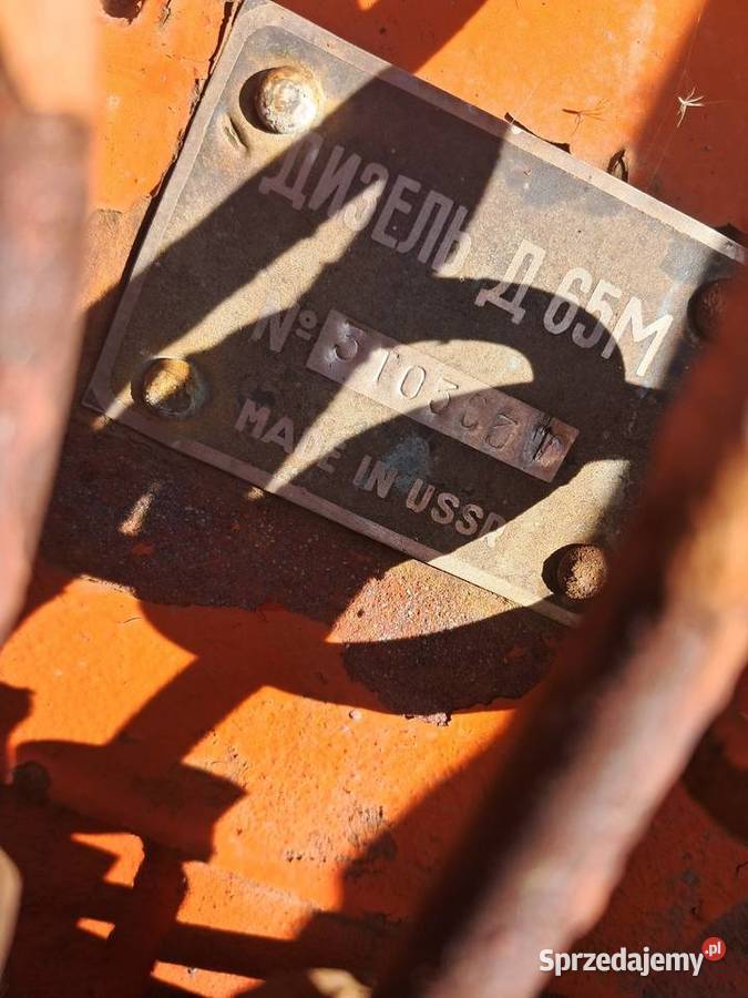 Białoruś jumz Zielona Góra