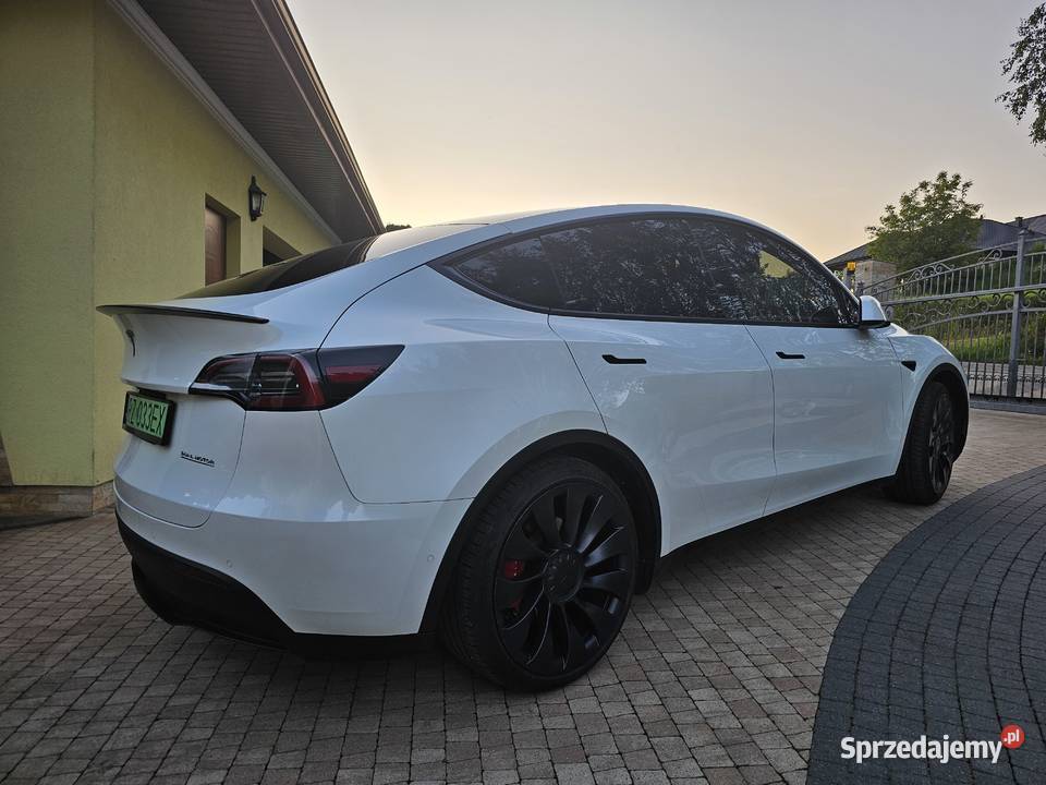 TESLA Y PERFORMANCE Rzeszów sprzedam