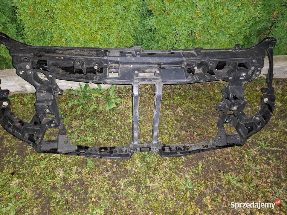 Atrapa z plastikami Toruń