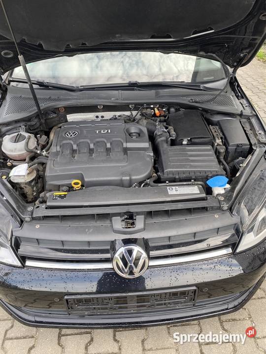 Volkswagen Golf 16 D Gdańsk