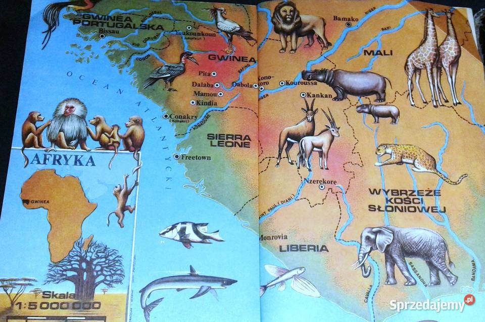 Nowa przygoda Gwinea Arkady Fiedler Chełm