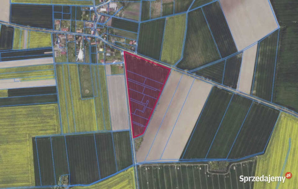 Kompleks działek w Szymanowicach 10zł/m2 Szymanowice