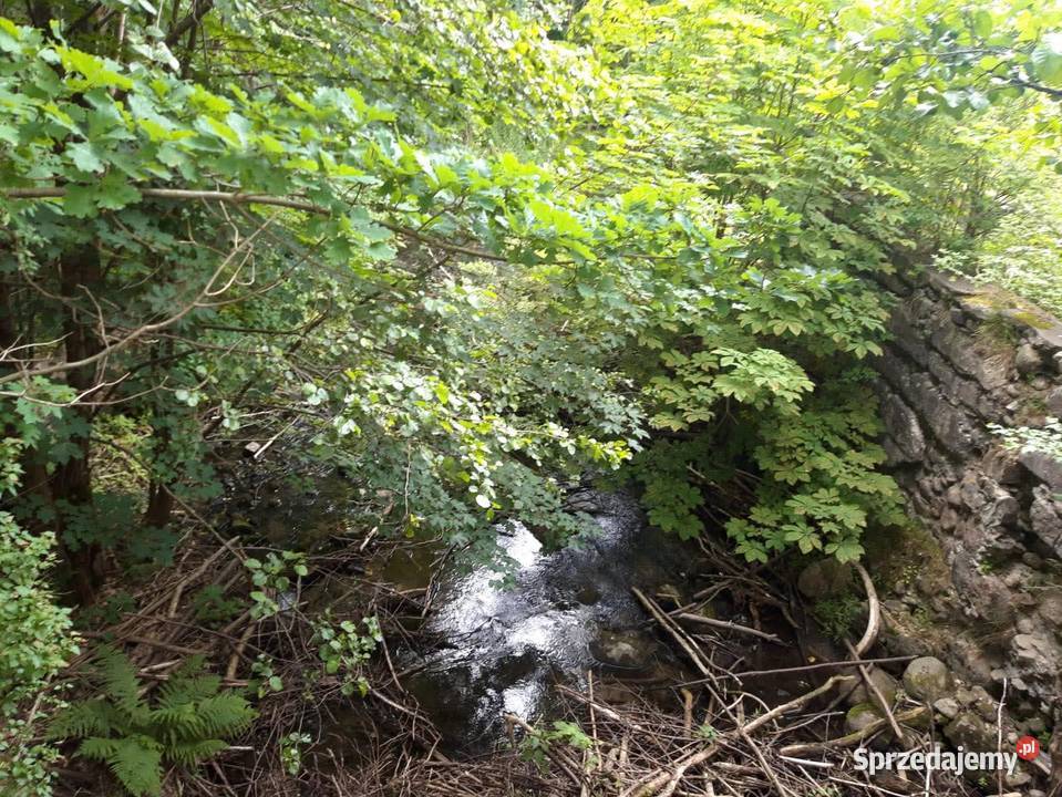 Działka budowlana z dostępem do rzeki Lipie sprzedam