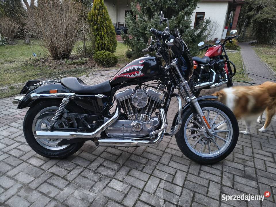 HarleyDavidson Sportster 2004 gaźnik dużo Stanisławów Pierwszy