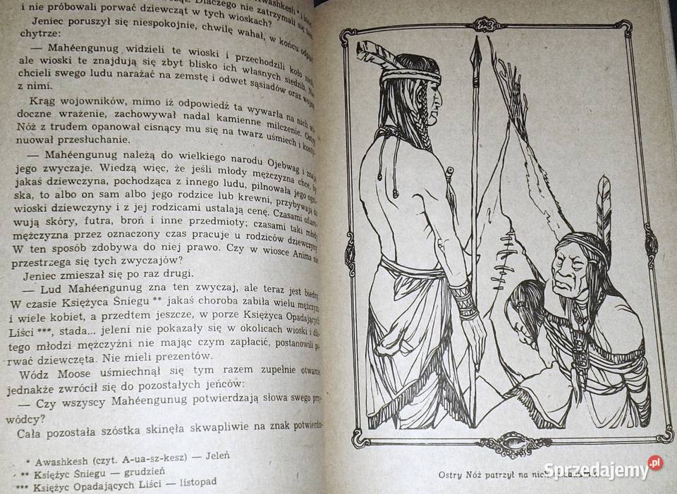 Gwiazda Mohawka YacktaOya Chełm