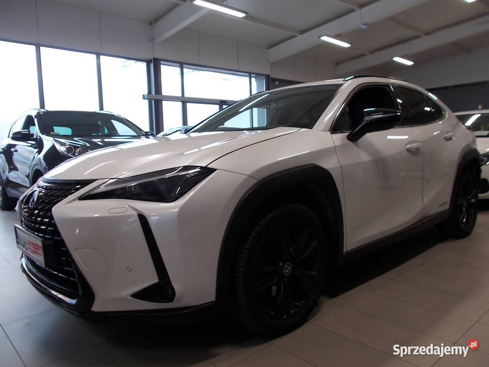 LEXUS UX 250H bEE AutomatSalon Polska Dębica sprzedam