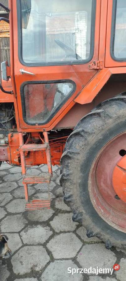 Sprzedam ciągnik MTZ 82 Załusin sprzedam