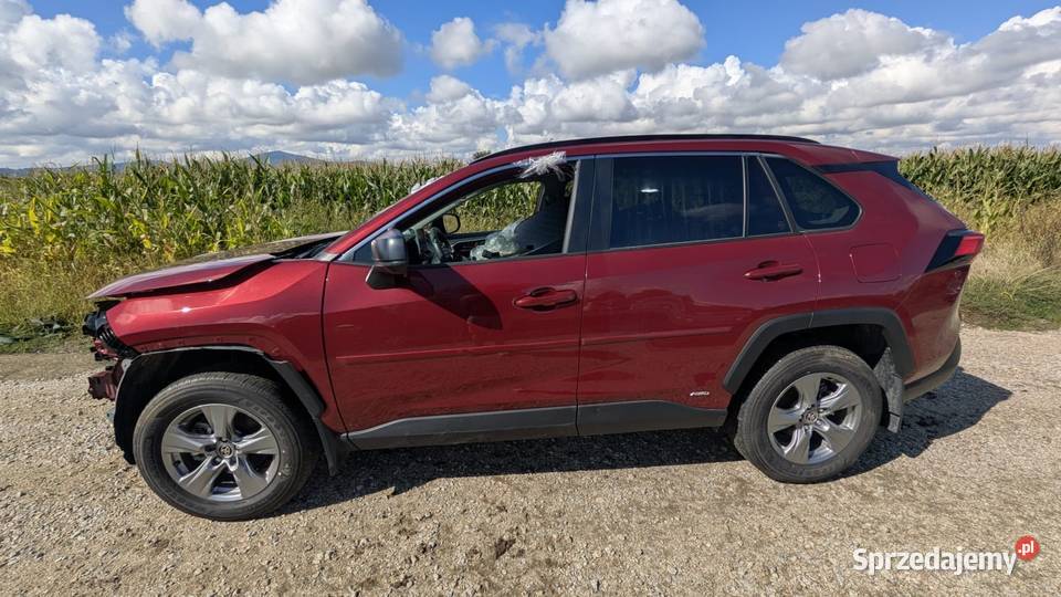 Toyota RAV4 Hybrid 25 LE 4x4 SUV 2024 Klasa Rolantowice