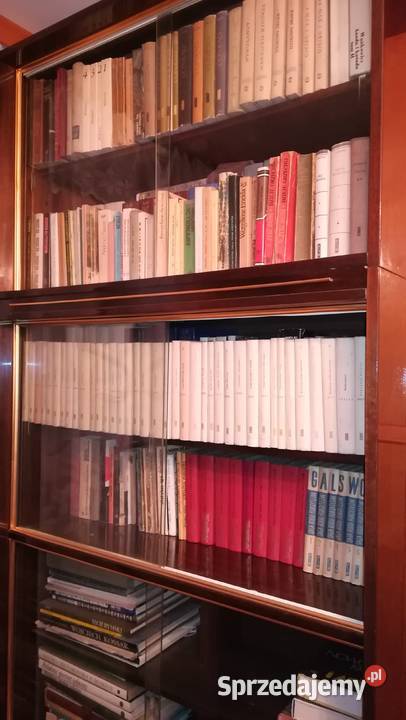 Książki Biblioteka Arcydzieło 16 Lublin