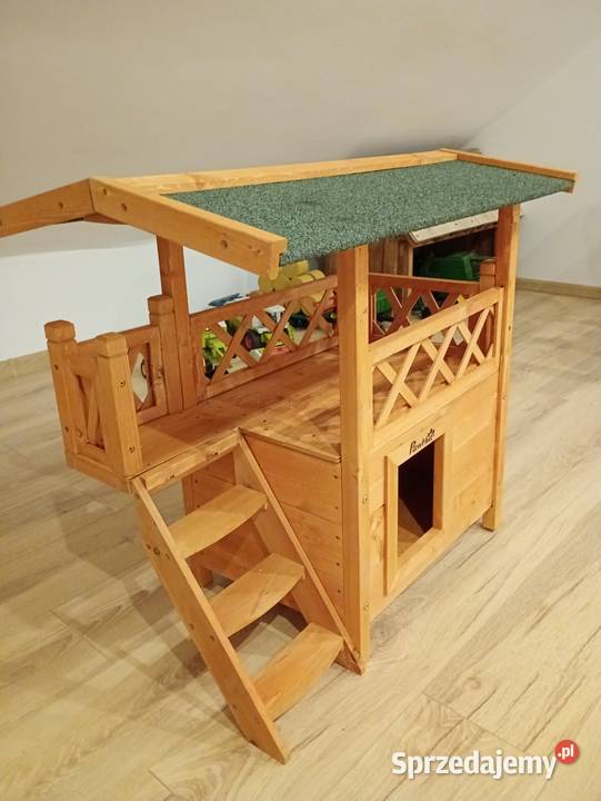 Domek kota kotka zwierzaka Międzyrzec Podlaski
