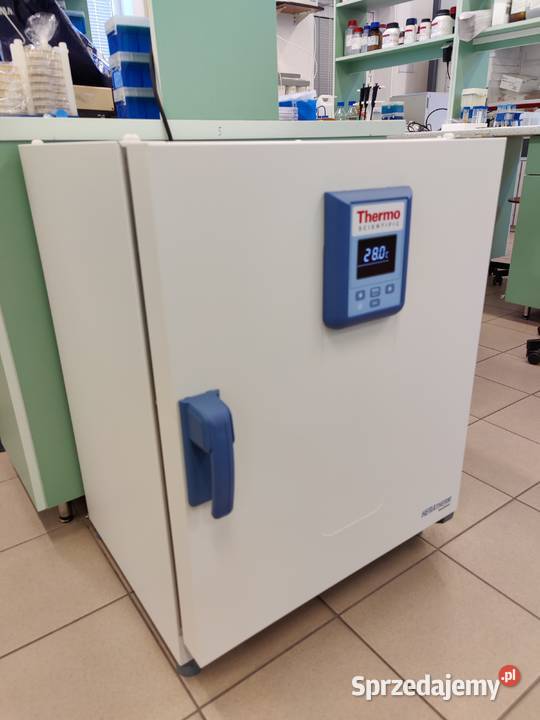 nkubator mikrobiologiczny mały wyposażenie Gdańsk