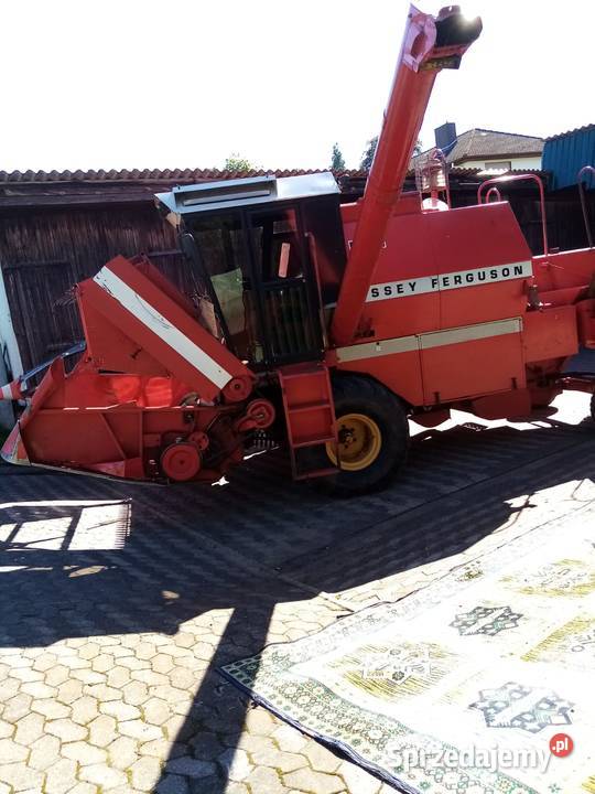 Sprzedam Massey Ferguson 307 Massey Ferguson Olesno