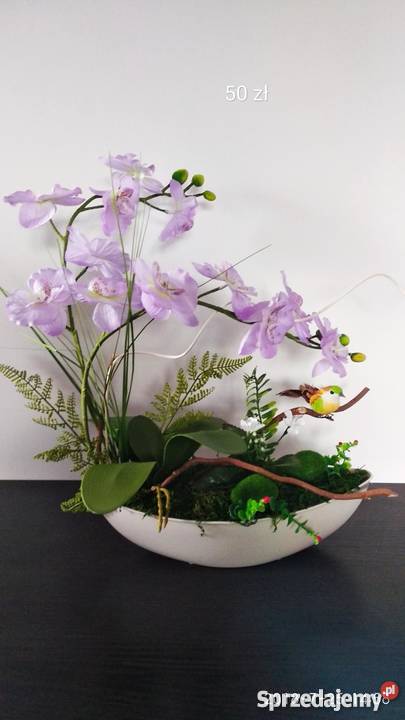 Storczyki sztuczne Sędziszów Małopolski