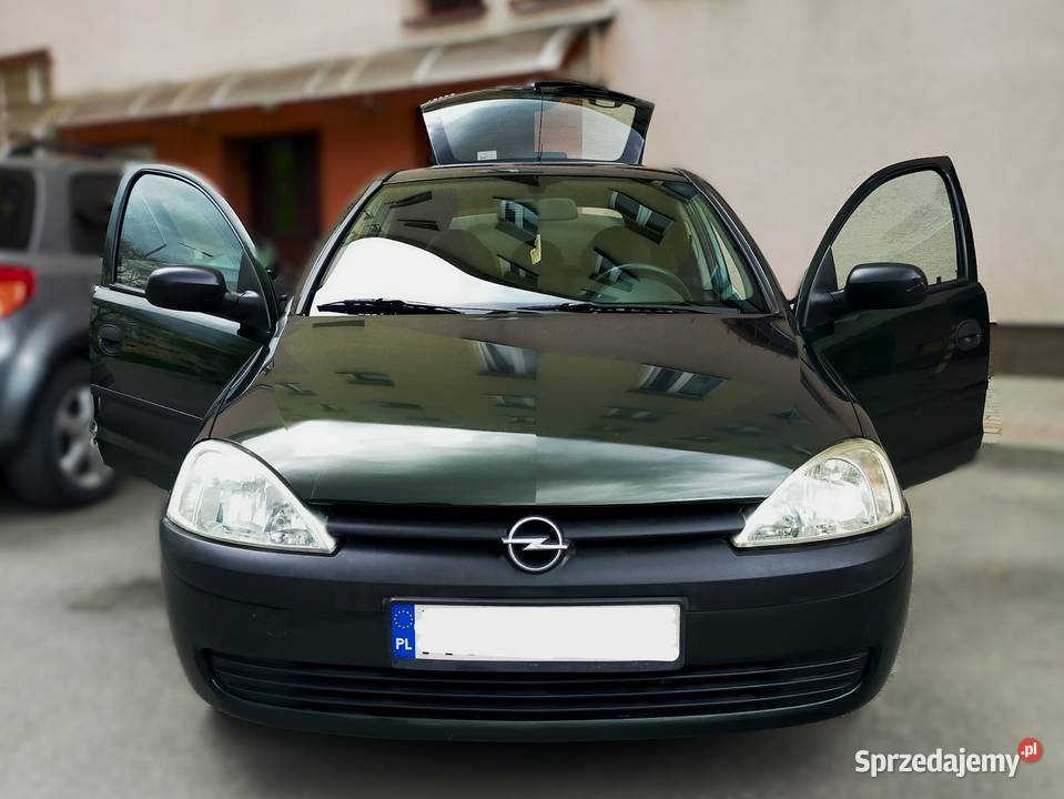 Opel Corsa C 2001 benzyna 10 polski salon NISKI podkarpackie Przemyśl