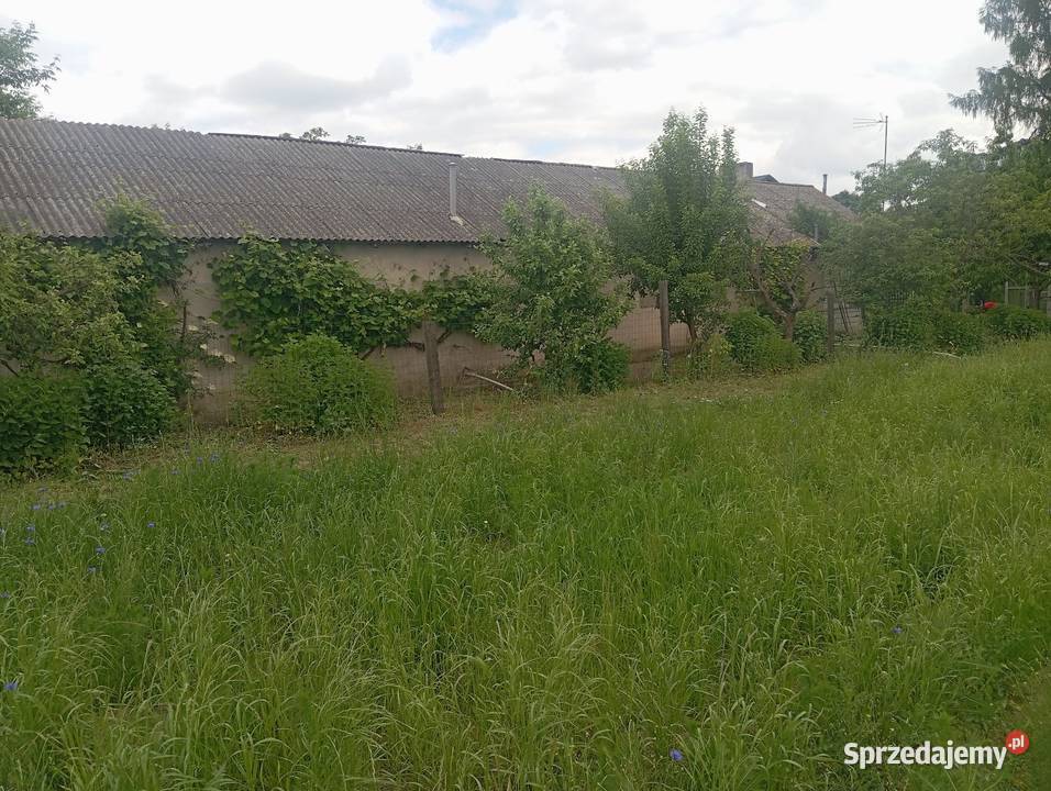 Sprzedam gospodarstwo rolne 5 hektarów z Łask