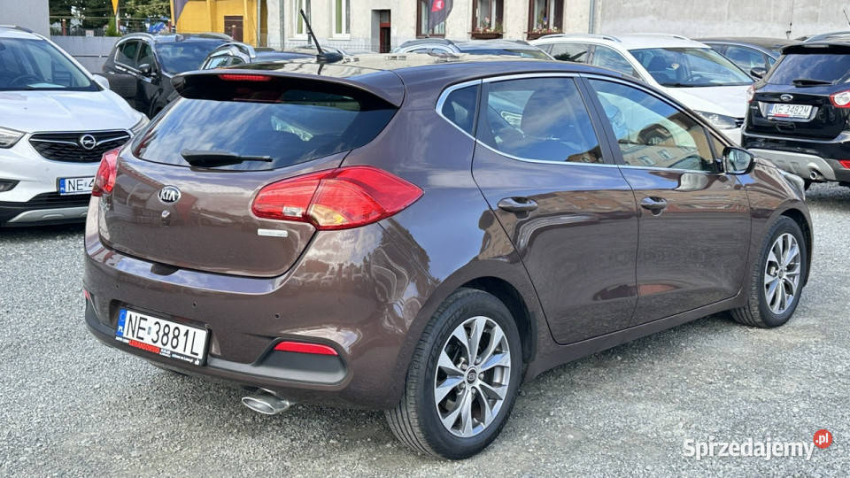 Kia Ceed 16 Benzyna Bogato Wyposażony II 2012 Hatchback warmińsko-mazurskie Elbląg sprzedam
