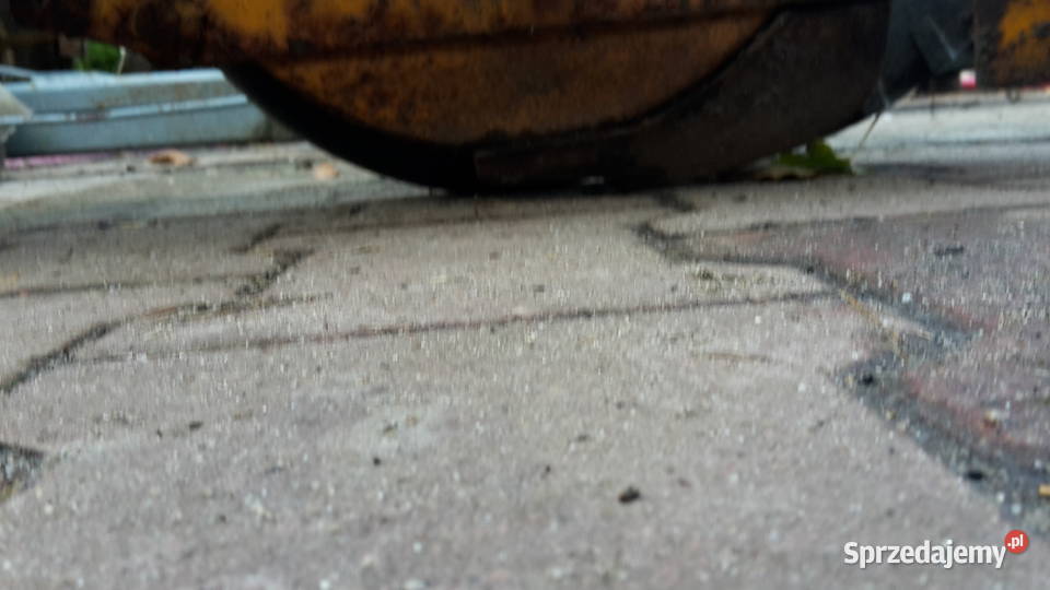 Siewnik do buraków Opole