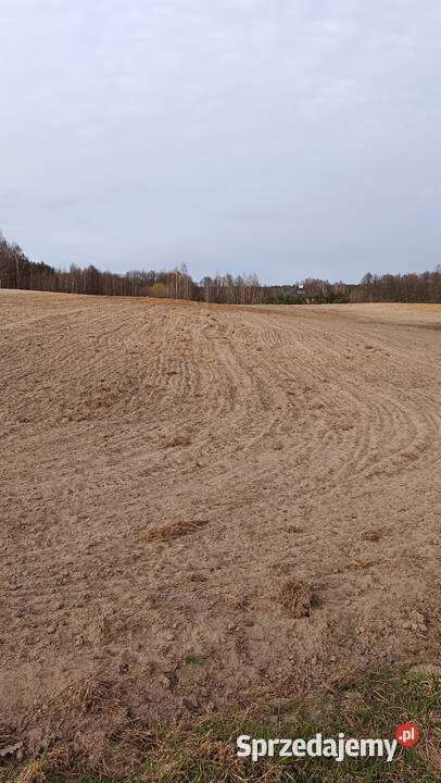 Sprzedam działkę z WARUNKAMI ZABUDOWY o kujawsko-pomorskie Teodorowo
