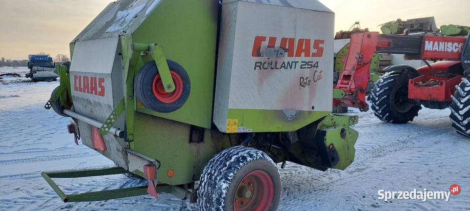 Sprzedam prase class 254 roto cut z 2007 roku Zbuczyn