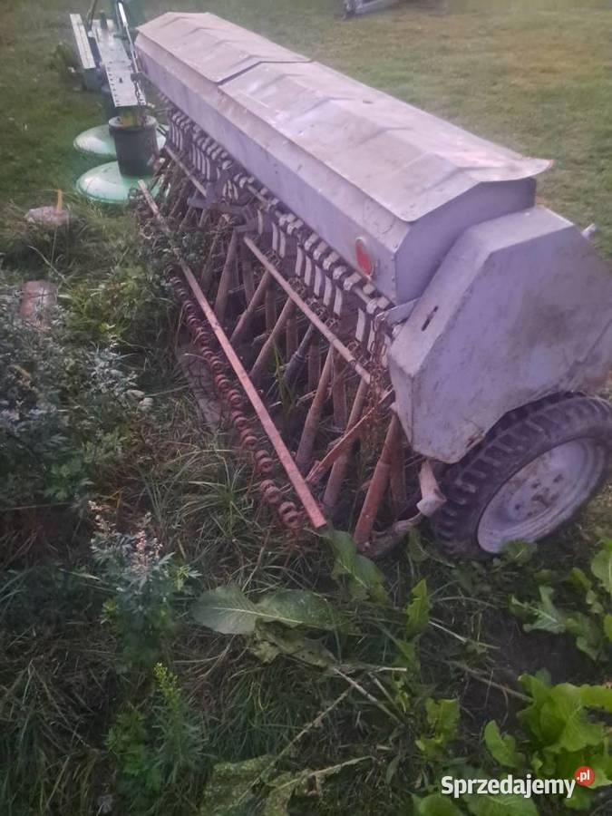 Siewnik poznaniak lubelskie Janów Podlaski