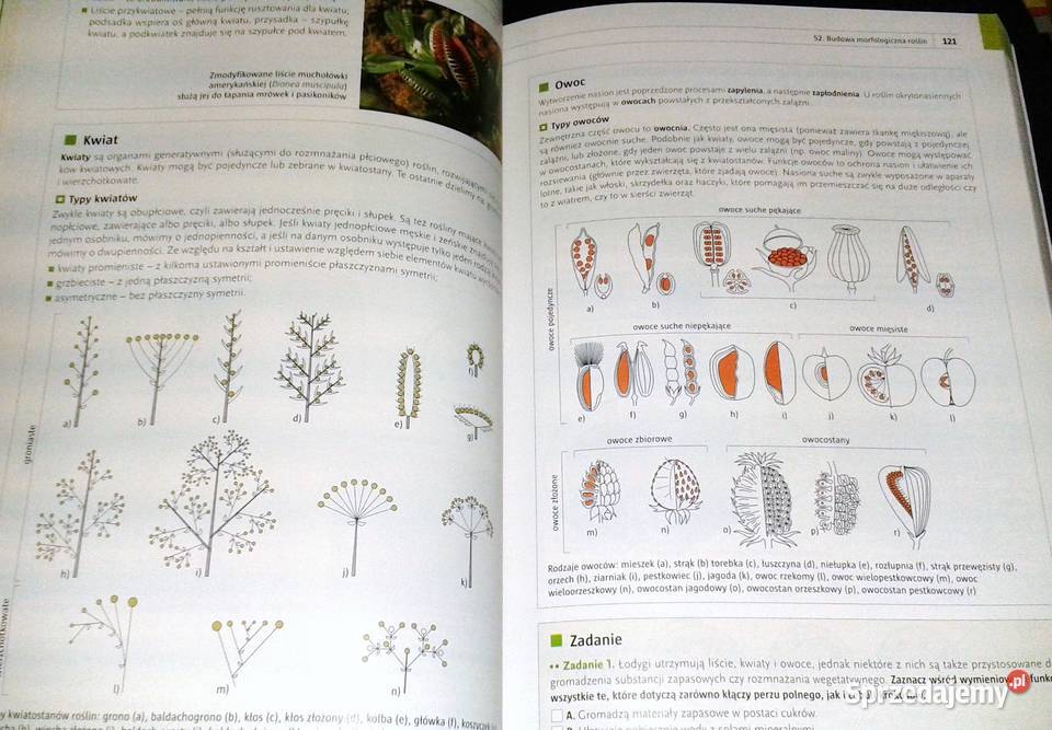 Biologia Repetytorium matura Zakres rozszerzony lubelskie Chełm