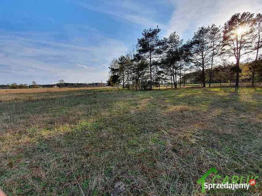 Działka 14500m Stawno