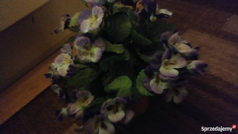 kwiaty sztuczne bratki Poznań sprzedam