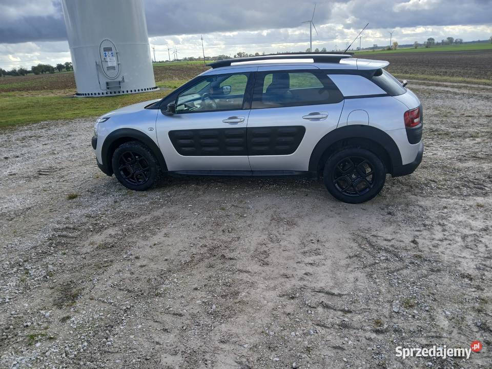 Citroen c4 cactus C4 Cactus