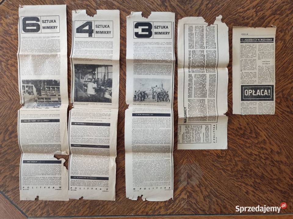 gazeta polityka 1979 artykuły jerzy surdykowski Kielce sprzedam